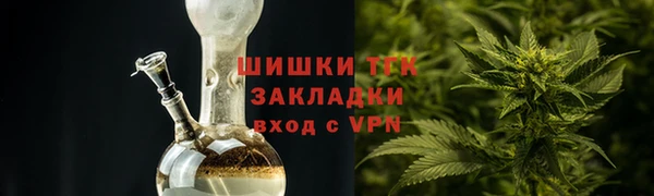 тгк Дмитров