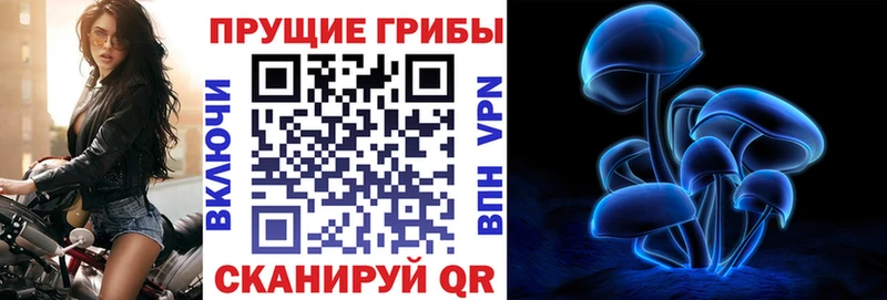 дарк нет как зайти  закладки  Харовск  Галлюциногенные грибы прущие грибы  kraken сайт 